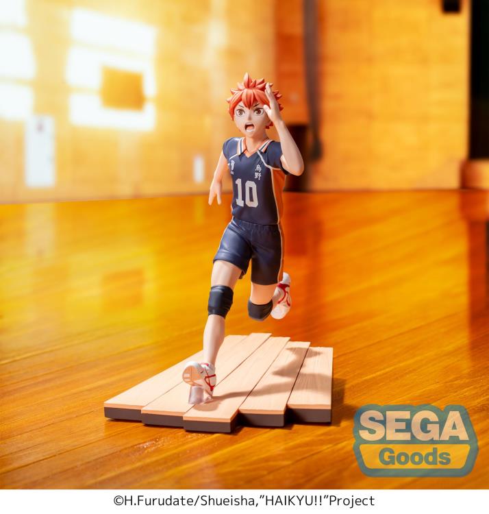 Shoyo Hinata